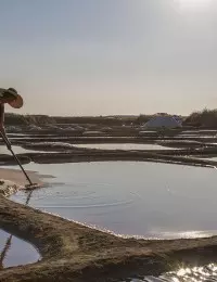 paludière dans les marais salants 