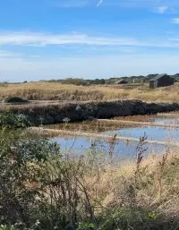 Marais salants