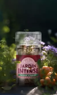 Croquant d'échalote Jardin Intense Le Guérandais 