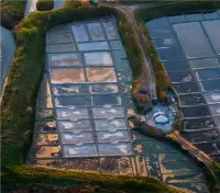 marais salants de Guérande